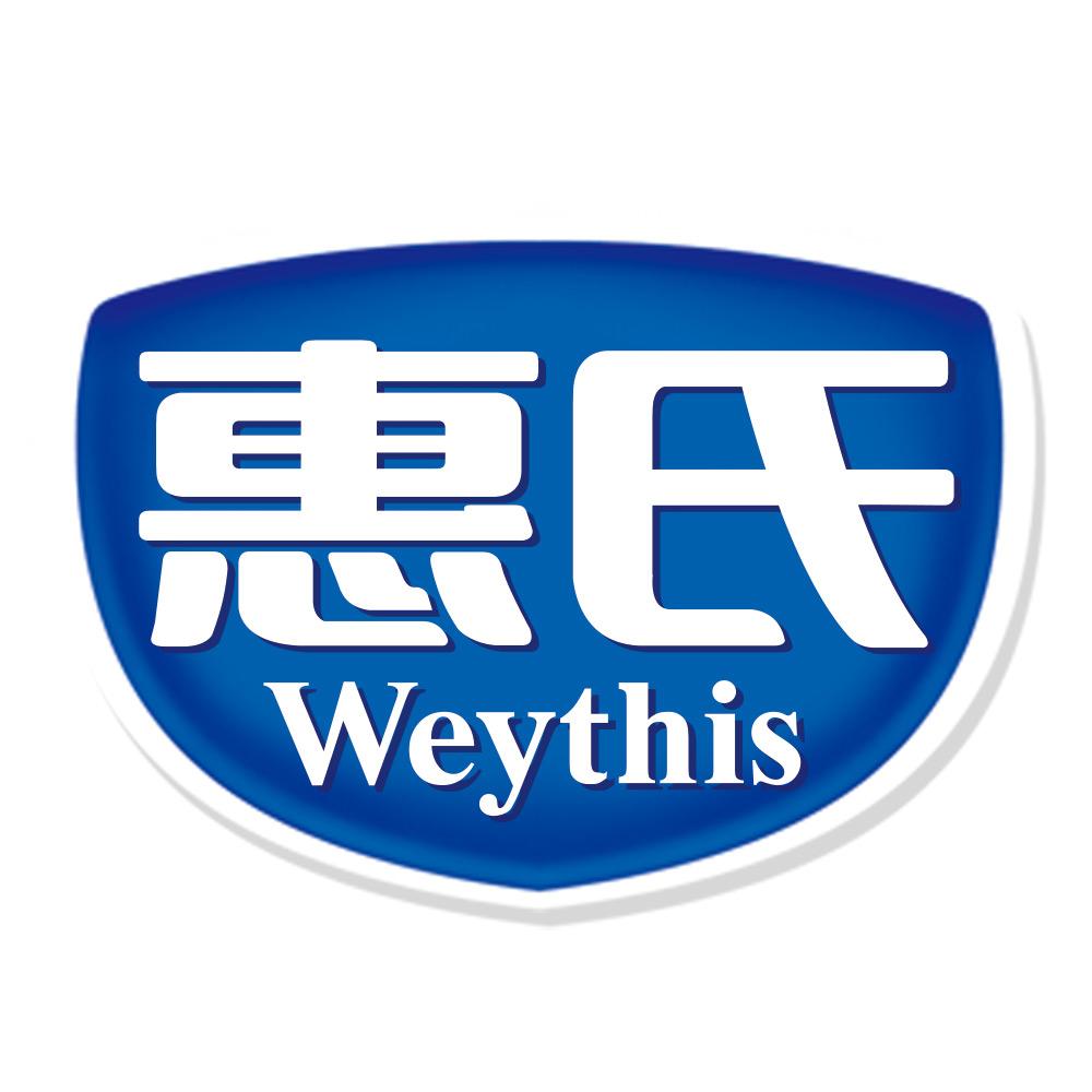 惠氏集团